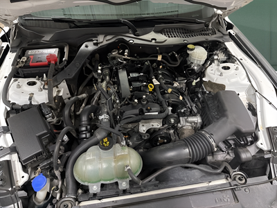 2020 Ford Mustang EcoBoost Premium Fastback